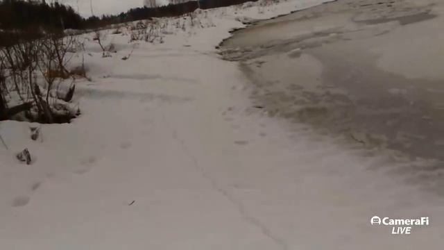 тест драйв Шерпа в Сорочанах