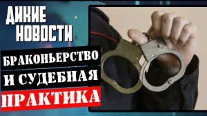 Олень сбил мотоциклиста_Чёрная икра дёшево_Иркутские бакланы_Дикие новости