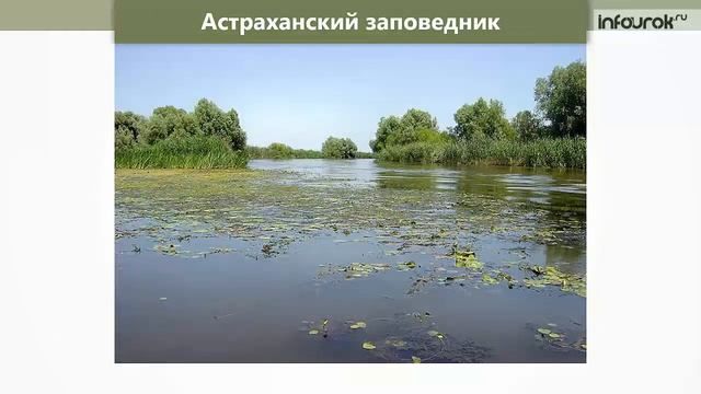 Заповедники и национальные парки России (Инфоурок)