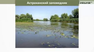 Заповедники и национальные парки России (Инфоурок)