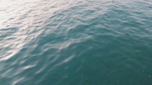 ВСЕ ПЛЯЖИ Кушадасы ?? Отдых в Турции 2023 На Эгейском море ?