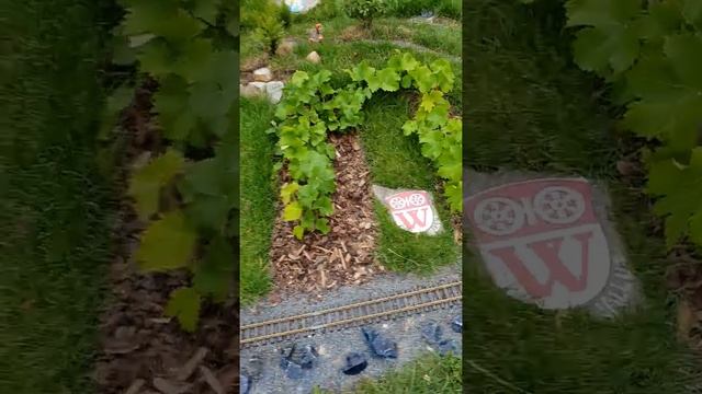 Сказочная деревня в Германии смотреть онлайн