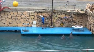 Большой  Утриш дельфинарий