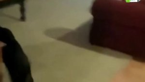 УМОРА | ДОБЕРМАН собирается на ДАЧУ 😂😂😂