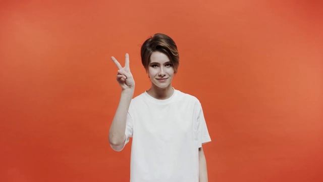 Are Shih Tzus really Dumb like other People say? (EXPLAINED) смотреть онлайн