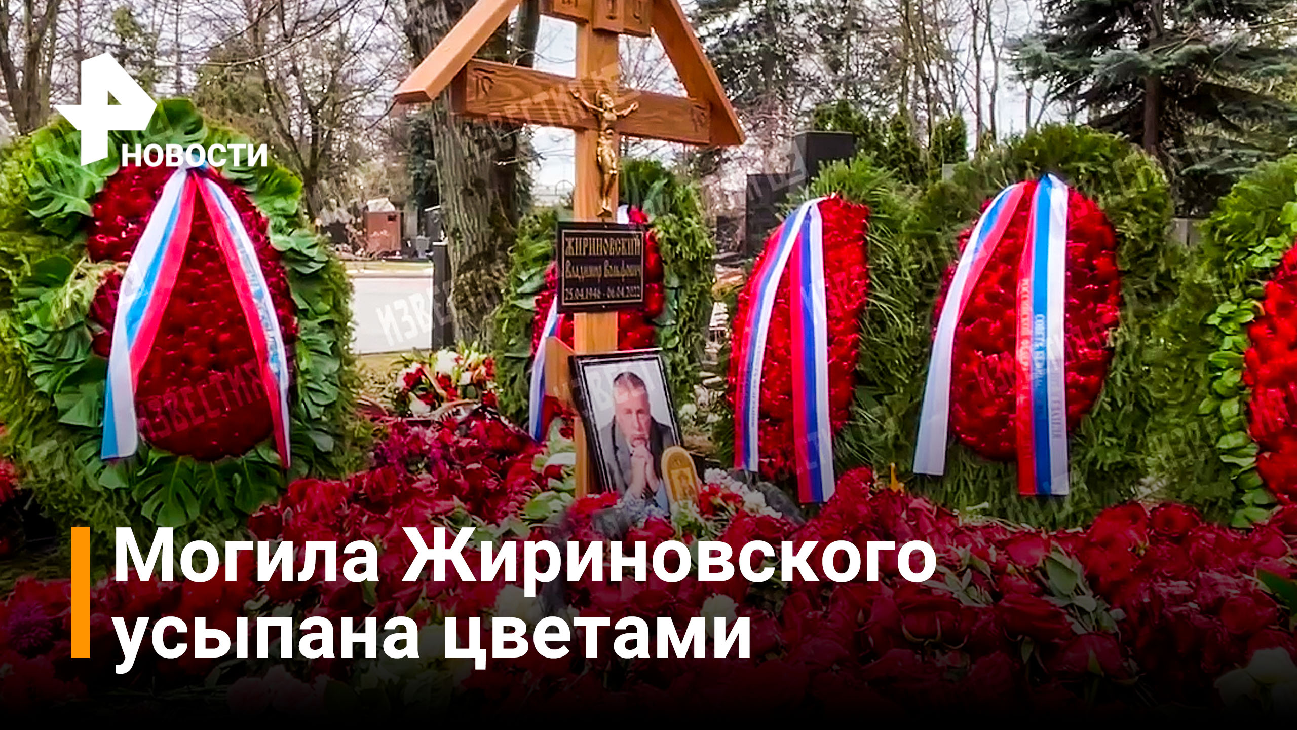 Могила жириновского сегодня фото