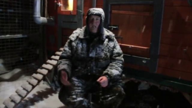 Яблочный уксус это первый помощник любого птицевода   : забытое старинное средство.