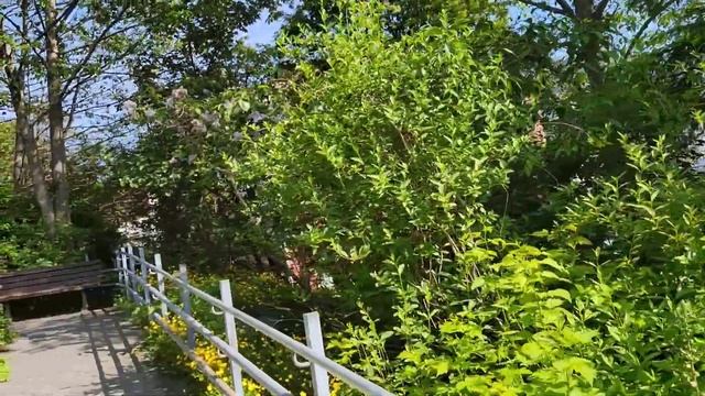 Лоскутный круиз на Аляску. День пятый. Ситка. смотреть онлайн