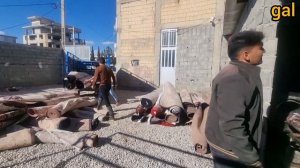 Nomadic widower and work in carpet washing for his daughters daily life