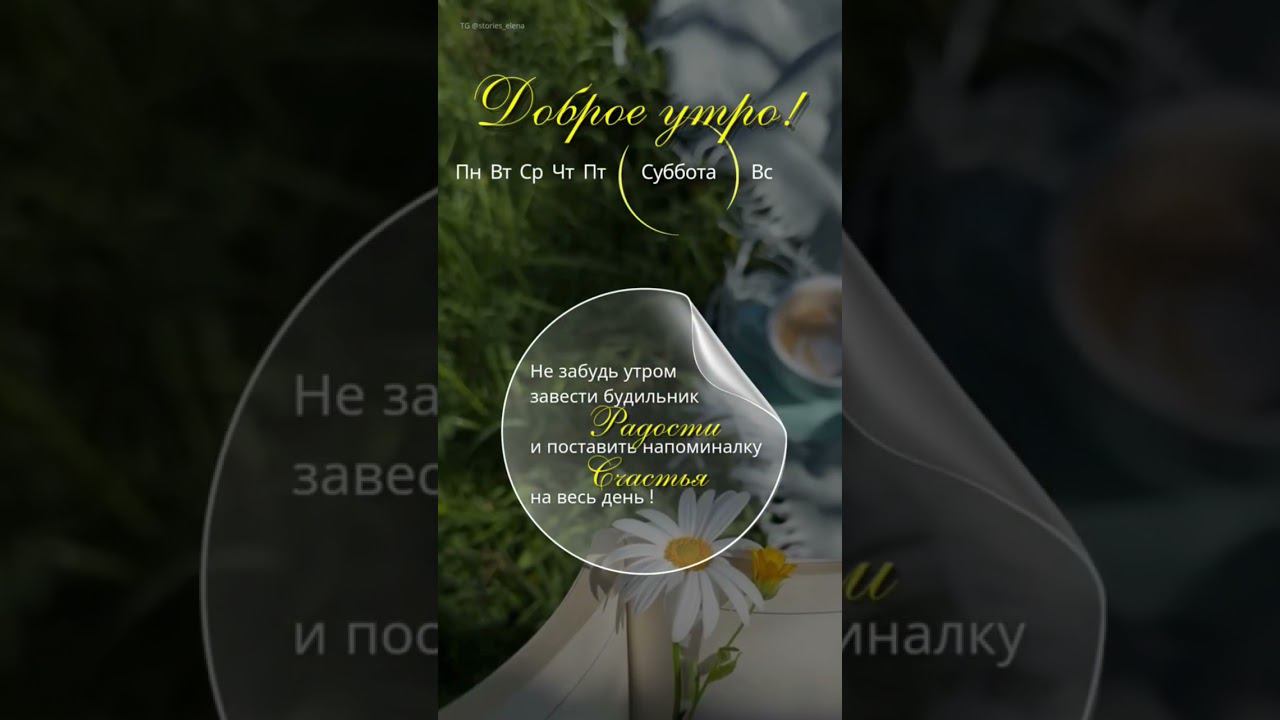 Открытка Доброе утро Суббота #доброеутро #суббота #открытка
