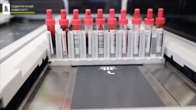 Гематология. Программа ординатуры в СПбГПМУ смотреть онлайн