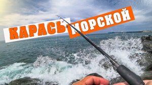 Чуть не смыло))) Черное море. Ловля на донку морского карася. Рыбалка на море.