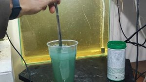 Дафния дома чем кормить .И немного о нерестах