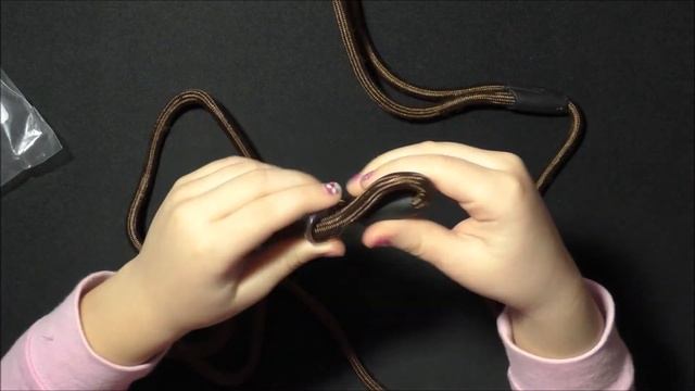 Ринговка для собачки смотреть онлайн