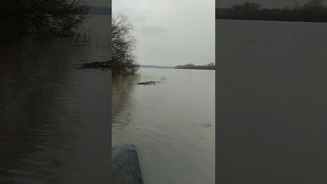 1мая 2023г сквер Фомченко река Бия смотреть онлайн