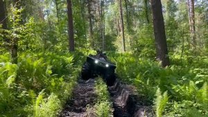 Квадроциклы.