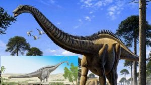 ДИПЛОДОК. Детям о динозаврах. Интересные факты о динозаврах для детей