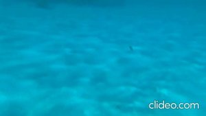 Египет, Шарм-эль-Шейх, Белый остров (Египетские мальдивы)