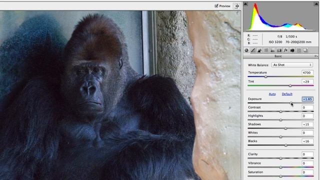 Camera Raw 7 in Photoshop CS6 | смотреть онлайн