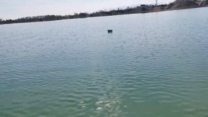 Гармин GT56UHD-TM