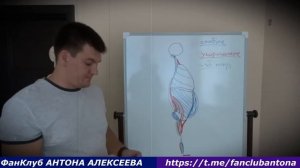 Вторая серия  Биомеханика движений и связь мышц