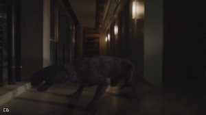 Evolution Primeval New World Creatures