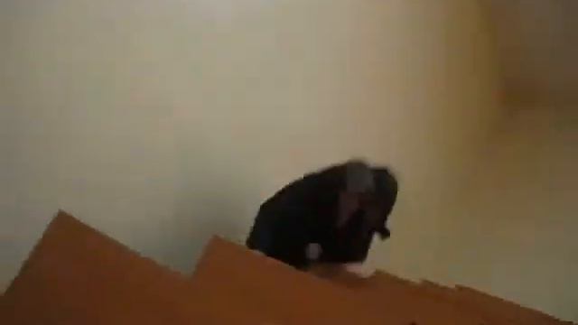 Student смотреть онлайн