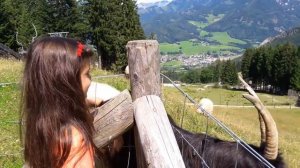 Настя и Я | Путешествие по Австрии: Зоопарк Der Wildberg