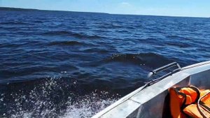 Рейд 370 ход по небольшой волне