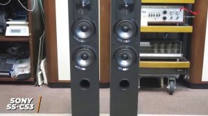 Best Floor Standing Speakers ( 2024 Updated links ) | 4 | Sony SS-CS3