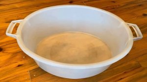 ЧЕЛЛЕНДЖИ для КОТОВ! ДОСТАНЬ ЧТОБЫ ВЫЖИТЬ VS Стали РЫБАКАМИ на 24 ЧАСА! КТО ПОБЕДИТ?