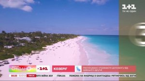Рожевий пляж, фламінго та свині: цікаві факти про Багамські острови