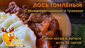 Сумасшедшая томленая лосятина (ну на крайняк говядина). Нежность зашкаливает.