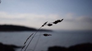 лекарство для души прекрасный каран (karan karim relax)