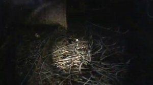 Мавзолей Ленина