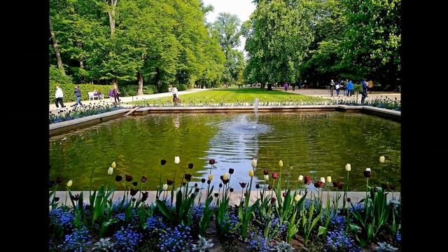 Варшава Королевские Лазенки смотреть онлайн