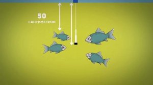 Рыбалка Чудеса инженерии Электронная приманка для рыбы Predator-AF