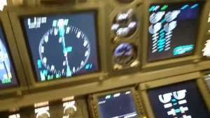 Mr. LEO в кабине Boeing 737-800