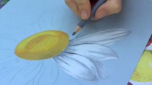 Как нарисовать цветы.Ромашка.Для начинающих.Цветными карандашами.How to draw flowers.Painting lesso