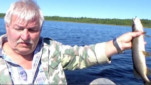 Снова оттянулись на рыбалке-щука на троллинг,подлещик на поплавок-май 2024