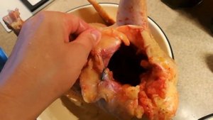 Бройлерная цесарка вес в 4 месяца.