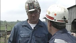 Protective Canopy (A Survivor's Story)