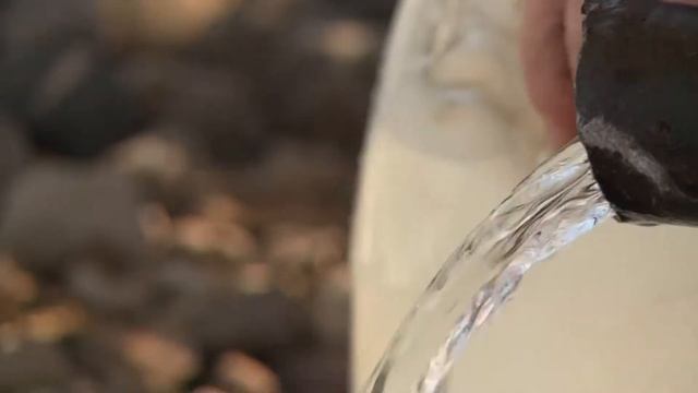 День органа местного самоуправления 2017 год смотреть онлайн