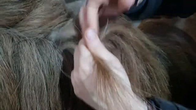 Прореживание гривы