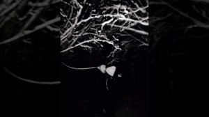 Я люблю тебя за то что ты в жизни есть♡