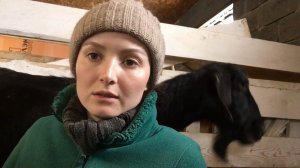 ПРИШЛОСЬ ОТПРАВИТЬ КУЧУ ЖАЛОБ И СТРАХОВКУ ВОССТАНОВИЛИ. НАЧИНАЕТСЯ СЕЗОН НАВОЗА В МЕШКАХ.