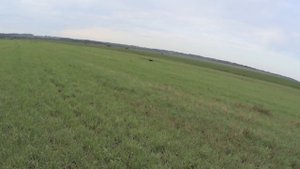 Охота на дупеля в Ярославской области