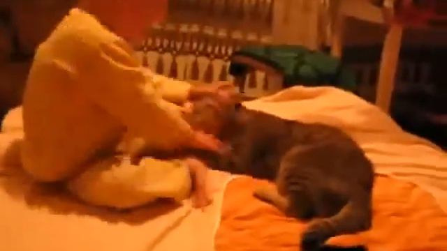 ребёнок и кошка смотреть онлайн