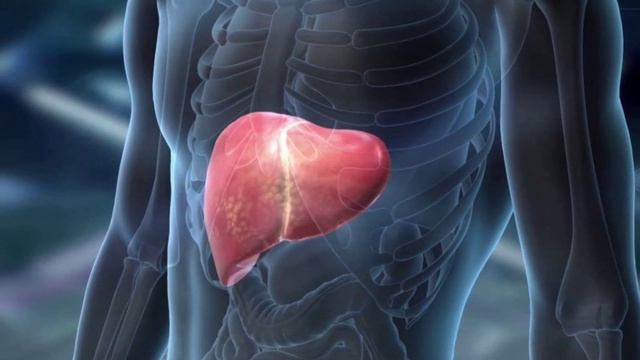 90 % не знают что печень отмирает. Признаки и как восстановить? смотреть онлайн