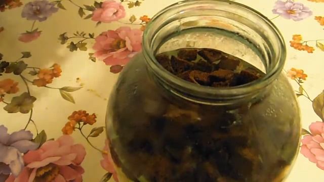 Как сделать Полезный Домашний КВАС   ООчень вкусный! Квас как с желтой бочки Квас как при СССР